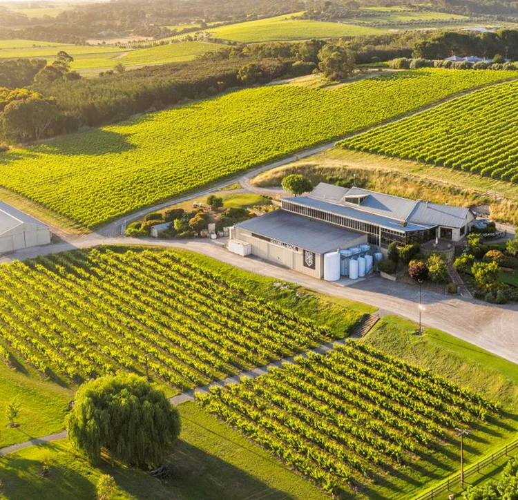 Helicopter Flight & Fine Dining