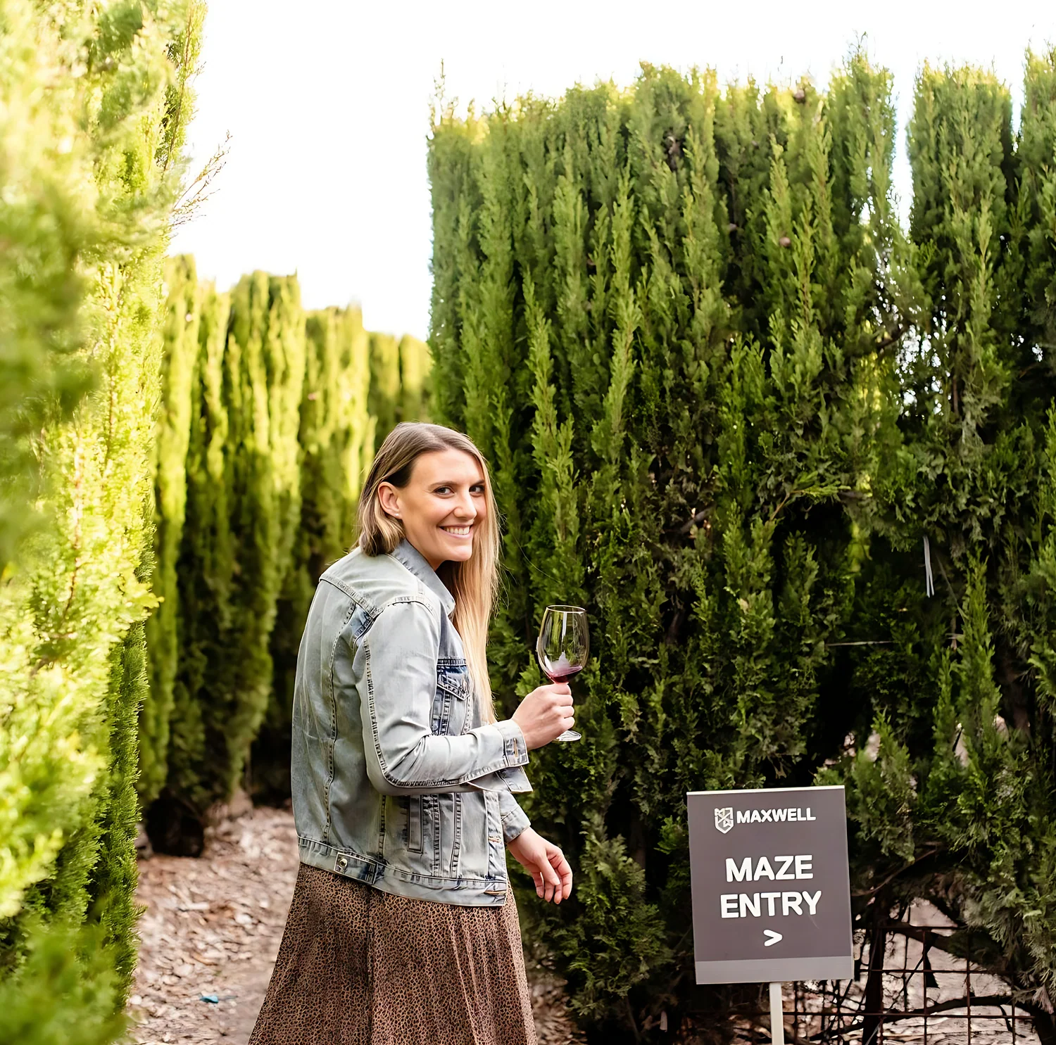 Maxwell Maze & Picnic